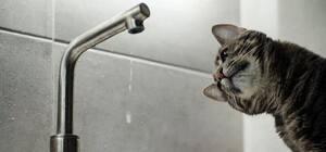 Часть Пересыпского района Одессы завтра останется без воды: адреса