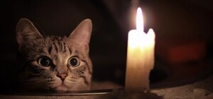 Нові обмеження на електроенергію: чи буде світло у Дніпропетровській області