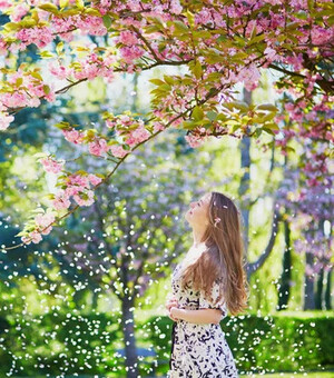 Трибьют-шоу Фрэнка Синатры и концерт KOLA: куда пойти в Одессе на следующей неделе