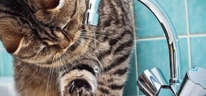 Майже весь правий берег міста Дніпра залишиться без води: що трапилося