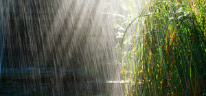 Встречаем тепло и ливни: какая погода будет в Одессе в мае