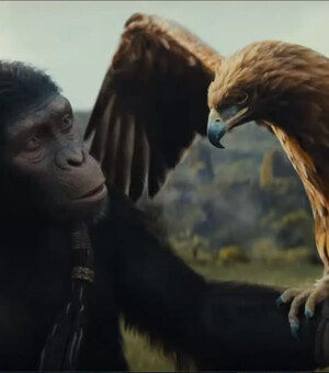 Рейтинг кінопрем'єр: що дивитись у кінотеатрах з 9 по 16 травня