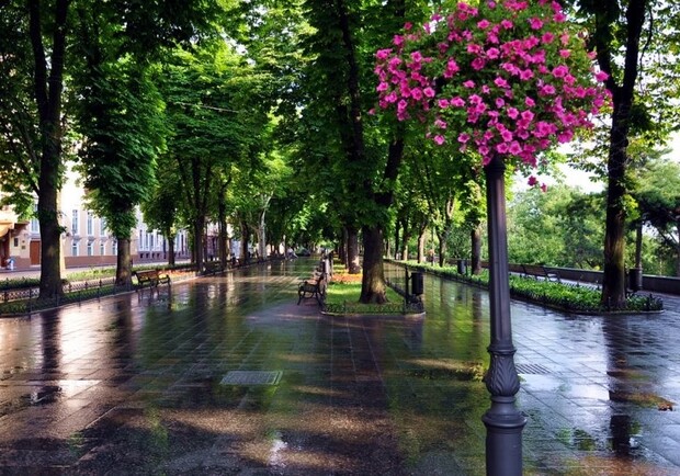 С грозами и кратковременными дождями: какая погода будет в Одессе на следующей неделе. 