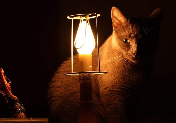 Котик біля ліхтаря. 