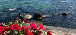 В Одессе официально открыли еще четыре пляжа: карта