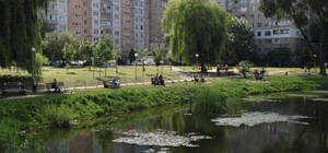 На вулиці Симоненка у Львові розчистять озеро