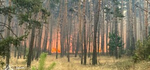 Під Балаклією рятувальники борються із лісовою пожежею