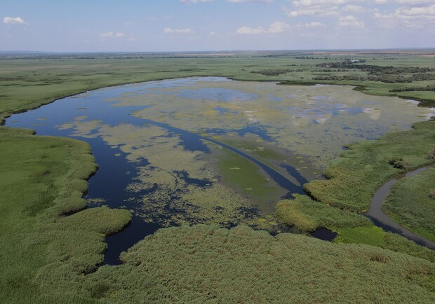 Територія Нижньодністровського нацпарку. 