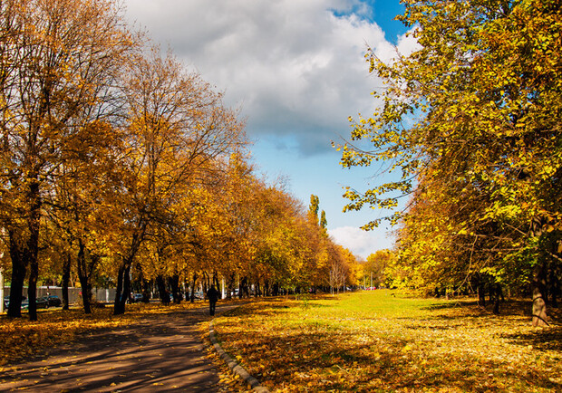 Осень в Одессе. 