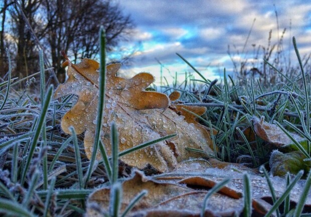 Заморозки осенью. 