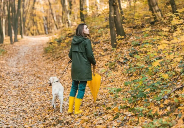 Дівчина гуляє в осінньому парку. 