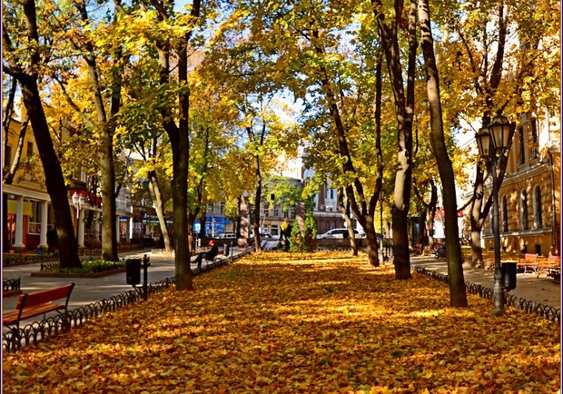 Осінь в Одесі. 