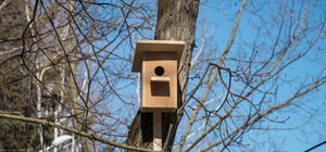 У Малехові під час викидання сміття спрацювала фотопастка