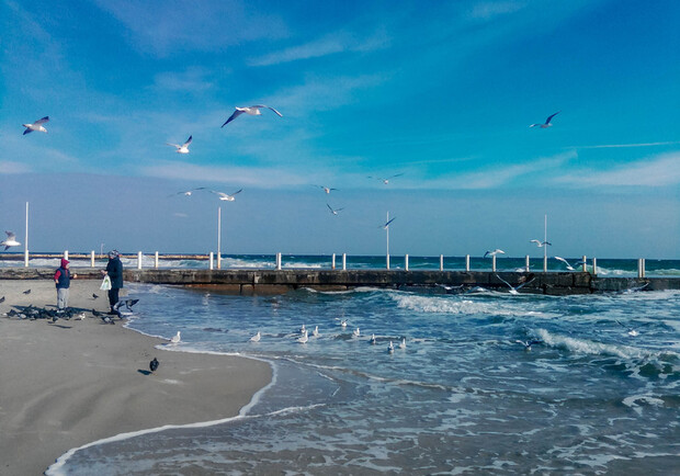 Море в Одессе зимой. 