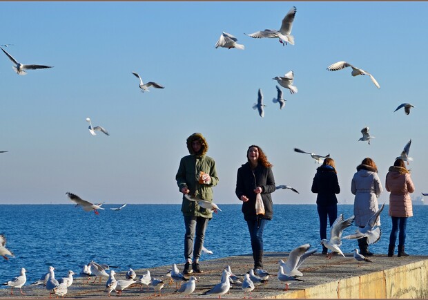 Люди на берегу моря в Одессе. 