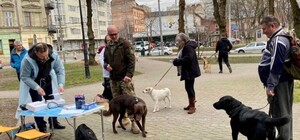 У Львівській області стрімко зросла кількість випадків сказу 