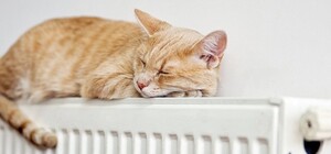 В части Одессы до вечера отключили теплоснабжение: адреса