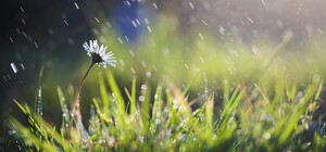 Погода в Днепре в марте: прогнозы синоптиков