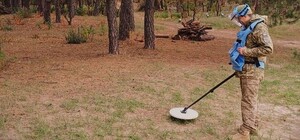 ПРООН будет помогать в разминировании Харьковской области — ХОВА