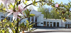 У Трускавці розпочався сезон цвітіння магнолії: відео 