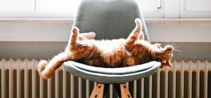 В Харькове завершился отопительный сезон