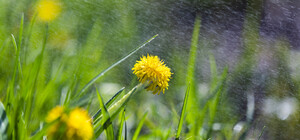 Предварительный прогноз погоды в Днепре на май 2025 года