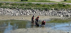 У Запоріжжі обміліли водойми в Дубовці та на Райдузі: коментар голови ОВА