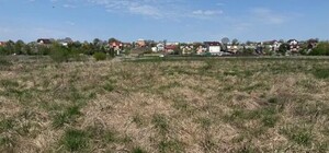 У червні на земельних аукціонах у Львівській громаді продаватимуть 14 ділянок