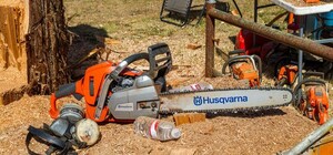 Киев теряет тысячи деревьев: массовая вырубка на Владимирской горке и Гарматной