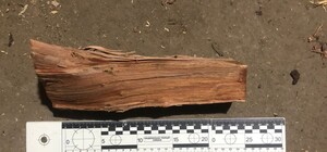 В Одесской области дядя избил племянника-подростка поленом по голове: как его наказал суд