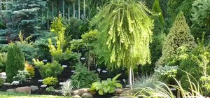 В Днепре объявили конкурс на лучший двор