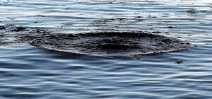 У водоймі на Стрийщині знайшли тіло 20-річного хлопця 