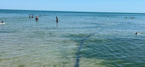 В Одессе в море в Аркадии могли попасть канализационные стоки: что говорят экологи