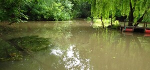 Масштабне прибирання біля Черепашого пруду в Дніпрі: долучитися можуть усі охочі