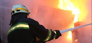 В Одесской области горел приют с сотней кошек: пожар с карьера перекинулся на жилые дома