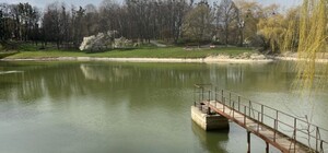 Піскові озера у Львові рятуватимуть від осушення 