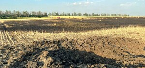 Оккупанты сожгли еще одно поле с пшеницей в Харьковской области