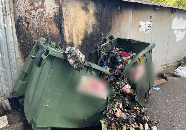 Мусорные баки после поджога. 