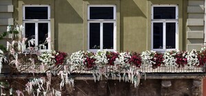 Битва балконів: у Львові стартує конкурс на найкраще озеленення 