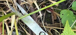 Львів’янин із ножицями порізав шию підлітці, яка хотіла йому допомогти 