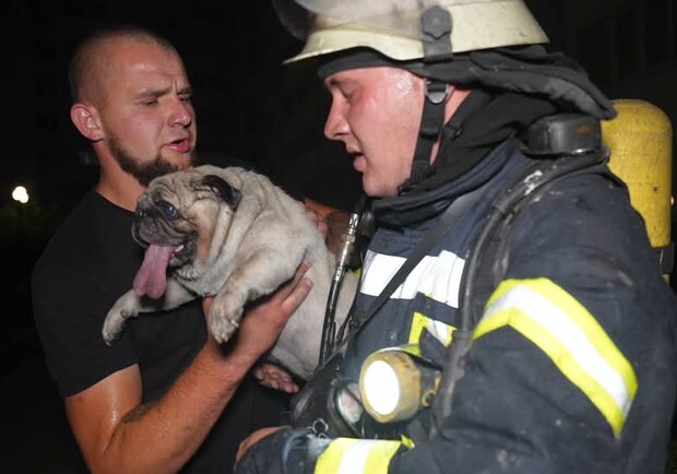 Спасатели со спасенным мопсом. 