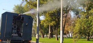 В Харькове несколько парков обработают от вредителей