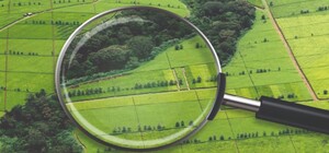 У граждан РФ конфисковали землю в Харьковской области