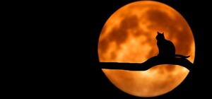 Повний місяць та молодик у серпні 2025: місячний календар