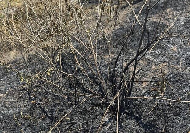 Наслідки підпалу. 