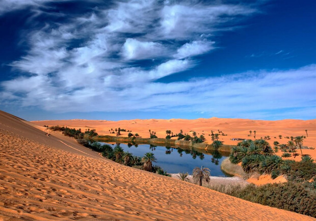 К 2050 году в Одесской области может появиться пустыня: что прогнозируют климатологи 