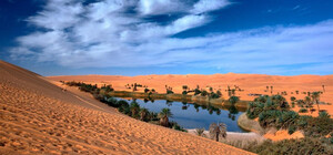 К 2050 году в Одесской области может появиться пустыня: что прогнозируют климатологи