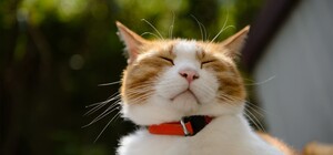 Солнечный август: какая погода будет в Одессе в эти выходные