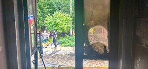 У Львові двоє восьмирічних хлопців підпалили гімназію: фото