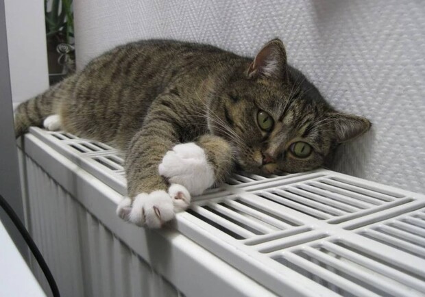 Опалювальний сезон в Одеській області: наскільки готові до зими 